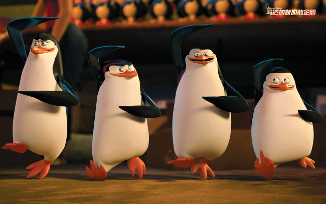 Обои картинки фото мультфильмы, the penguins of madagascar, пингвины, клюв, глаза