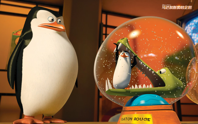 Обои картинки фото мультфильмы, the penguins of madagascar, пингвин, глаза, клюв
