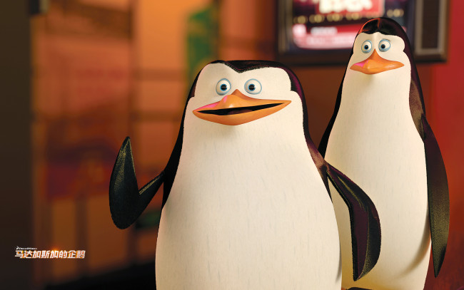 Обои картинки фото мультфильмы, the penguins of madagascar, пингвины, клюв, глаза