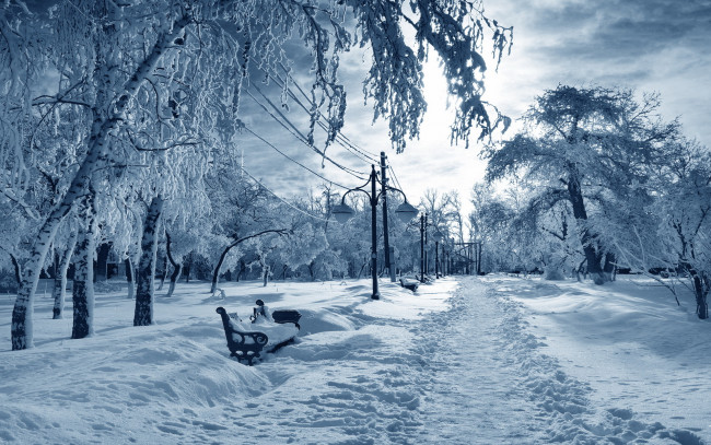 Обои картинки фото природа, зима, снег, парк, фонарь, скамейка