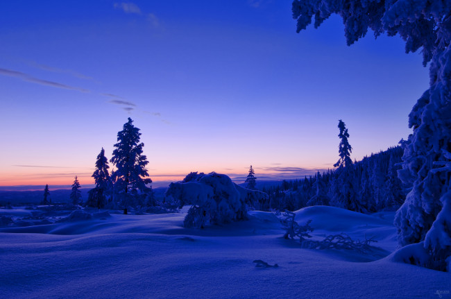 Обои картинки фото природа, зима, облака, лес, небо, снег, норвегия, закат, вечер, деревья