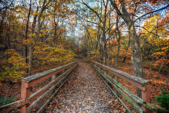 Обои картинки фото природа, дороги, лес, осень, мостик, краски