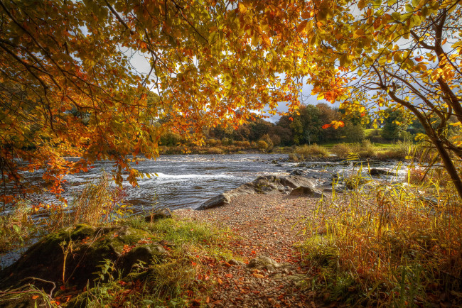 Обои картинки фото природа, реки, озера, деревья, река, осень, пейзаж, листья
