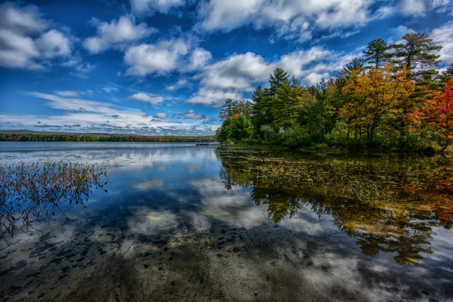 Обои картинки фото природа, реки, озера, озеро, облака, небо, осень, деревья, лес