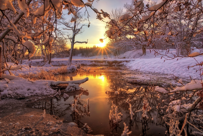 Обои картинки фото природа, восходы, закаты, зима, река, снег, лес