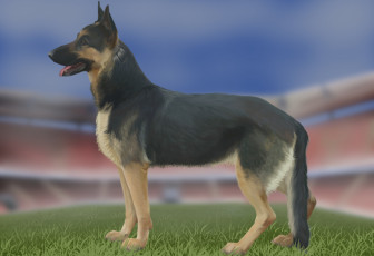 Картинка рисованное животные +собаки поле фон взгляд собака
