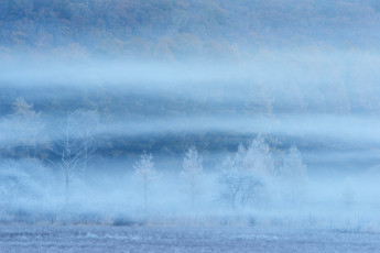 Картинка природа зима деревья поле склон иней туман дымка