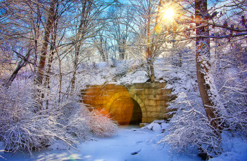 Картинка природа лес снег мост