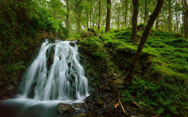 Обои картинки фото природа, водопады, река, лес, водопад