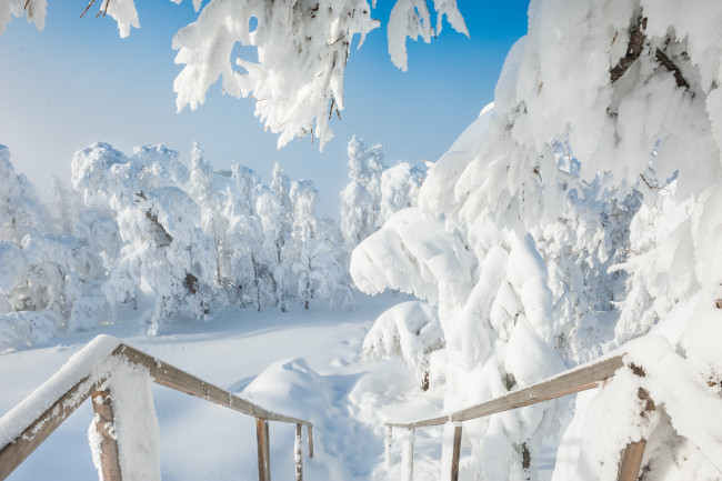 Обои картинки фото природа, зима, снег, россия, южный, урал, деревья, сугробы
