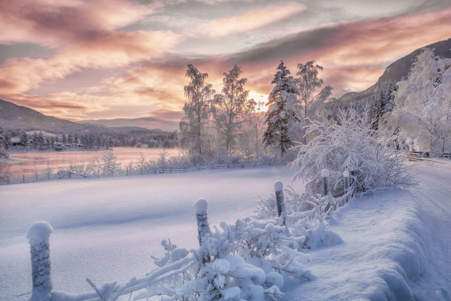 Обои картинки фото природа, зима, снег, деревья, забор
