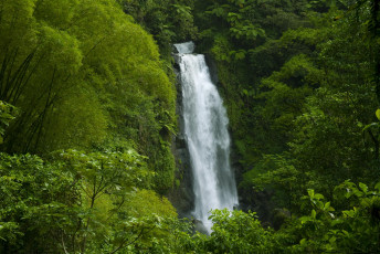 Картинка водопад природа водопады амазонка джунгли