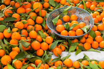 Картинка еда цитрусы апельсины