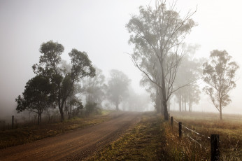 Картинка природа дороги туман дорога деревья