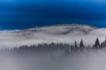 Картинка природа зима туман небо лес