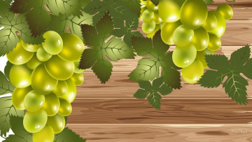обоя векторная графика, природа , nature, виноград, гроздь, листья