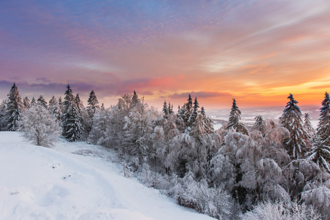 Обои картинки фото природа, зима, снег, небо, лес