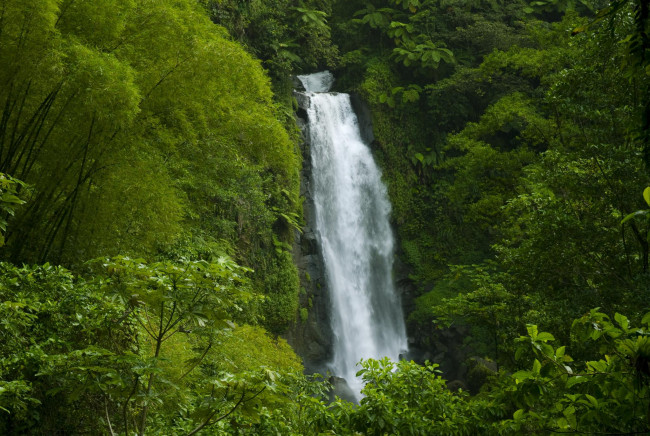 Обои картинки фото водопад, природа, водопады, амазонка, джунгли