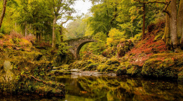 Картинка природа реки озера лес река мост осень