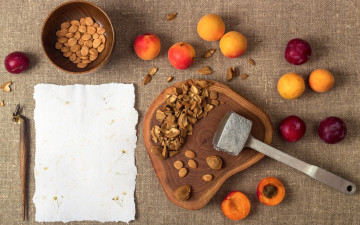 Картинка еда персики +сливы +абрикосы слива орешки абрикос