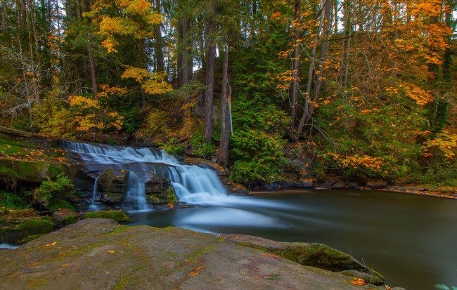 Обои картинки фото природа, водопады, каскад, лес, осень
