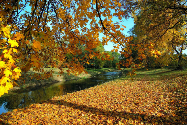 Обои картинки фото природа, реки, озера, осень, листья, река, листопад