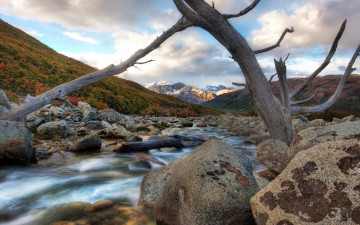Картинка природа реки озера поток коряги камни горы