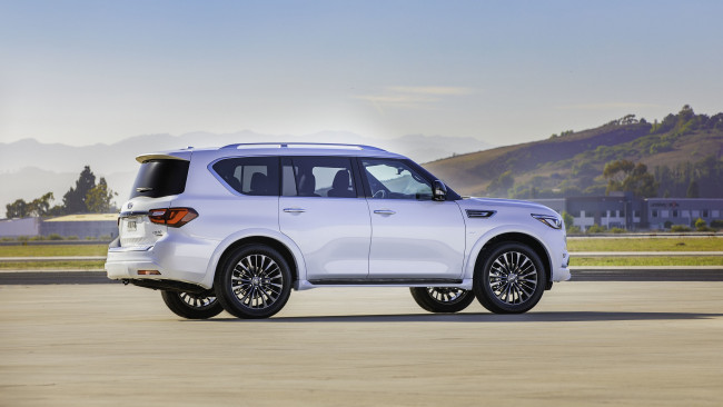 Обои картинки фото 2020 infiniti qx80 edition 30, автомобили, infiniti, белый, инфинити, автомобиль, qx80, 2020