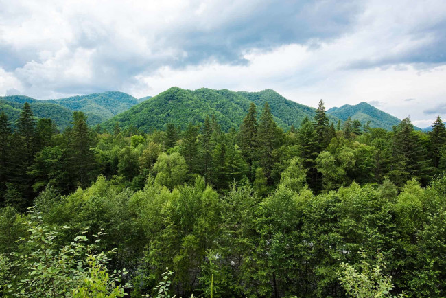 Обои картинки фото сихотэ- алинь, природа, горы, сихотэ-, алинь, россия, приморье, лес