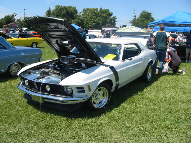 Обои картинки фото ford, mustang, boss, автомобили