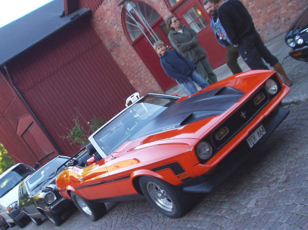 Обои картинки фото ford, mustang, mach, автомобили