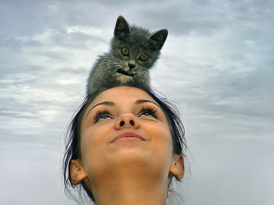 Картинка sergey vl эти глаза сверху животные коты