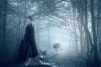 Картинка разное компьютерный+дизайн isadora vilarim девушка волки сова лес