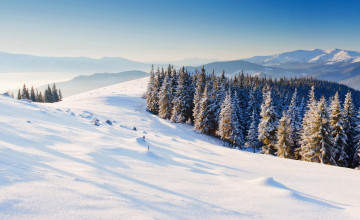 Картинка природа зима лес дорога снег