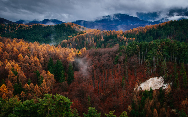 Обои картинки фото природа, горы, осень, краски, облака, лес