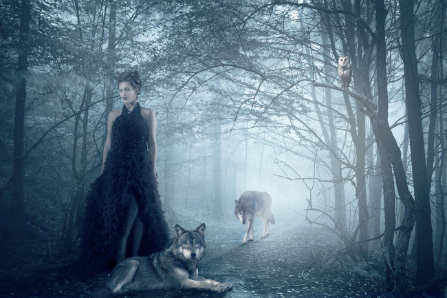 Обои картинки фото разное, компьютерный дизайн, isadora, vilarim, девушка, волки, сова, лес