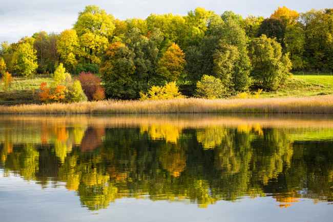 Обои картинки фото природа, реки, озера, отражение, лес, озеро, осень