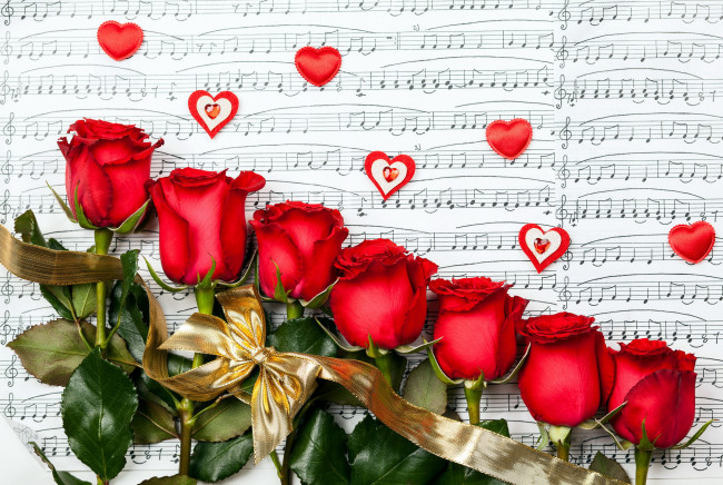 Обои картинки фото цветы, розы, ноты, сердечки, лента