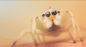 обоя gaudibuendia, рисованное, животные,  насекомые, рисунок, паук, наездник, лапки, глаза