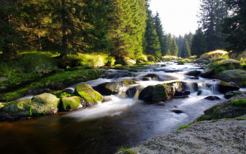 Картинка природа реки озера лес камни ручей
