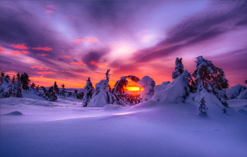 Картинка природа зима снег рассвет утро облака деревья небо