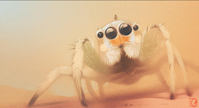 Обои картинки фото gaudibuendia, рисованное, животные,  насекомые, рисунок, паук, наездник, лапки, глаза