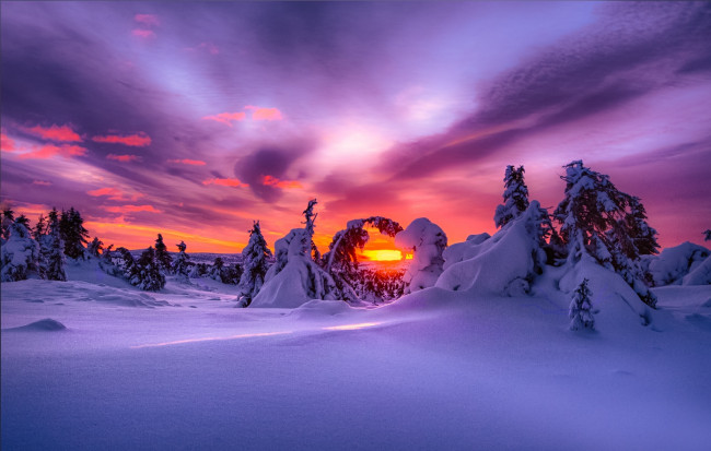 Обои картинки фото природа, зима, снег, рассвет, утро, облака, деревья, небо