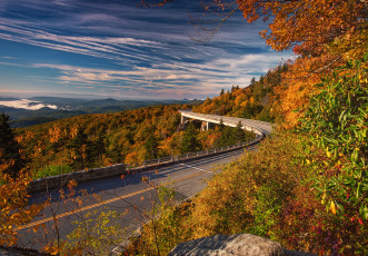 Картинка природа дороги шоссе лес осень