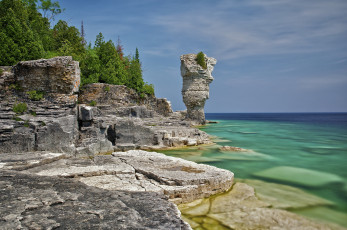 Картинка природа побережье лес обрыв океан скала
