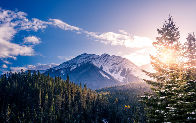 Обои картинки фото природа, горы, снег, гора, лес, вершина