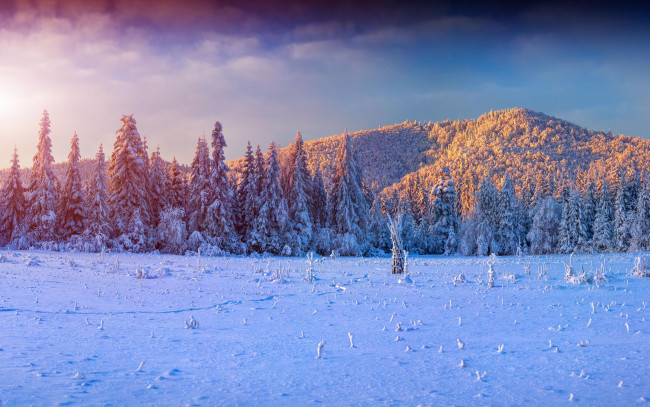 Обои картинки фото природа, зима, закат, горы, деревья, снег