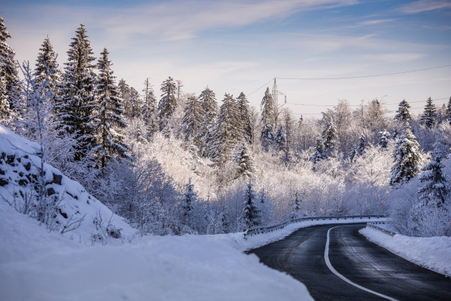 Обои картинки фото природа, зима, лес, дорога, деревья
