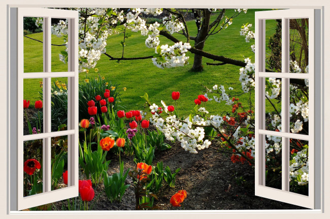 Обои картинки фото цветы, разные вместе, тюльпаны, нарциссы, цветущая, вишня