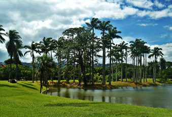 Картинка miranda+park природа парк miranda park